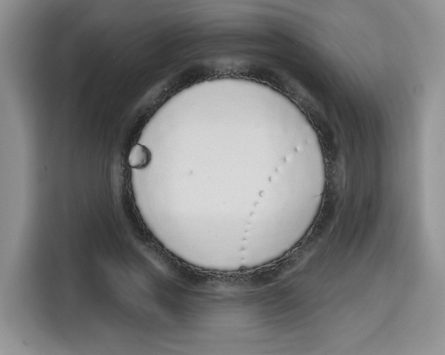 X0000115160733200911241548