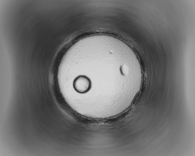 X0000115160734200911241548