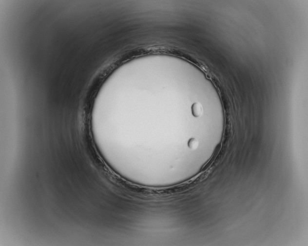 X0000115160735200911241548