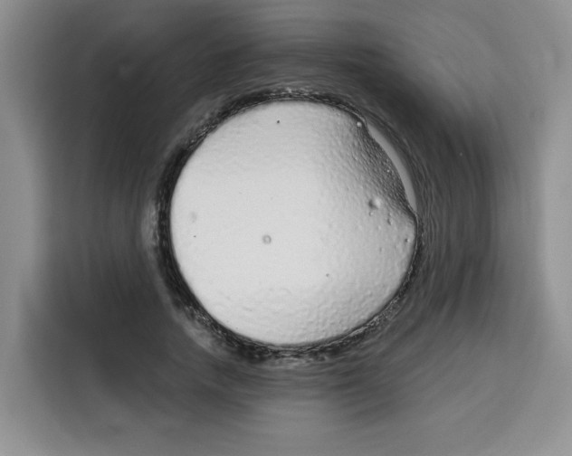 X0000115160738200911241548