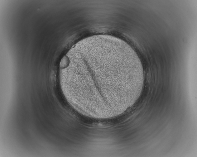 X0000115160739200911241548