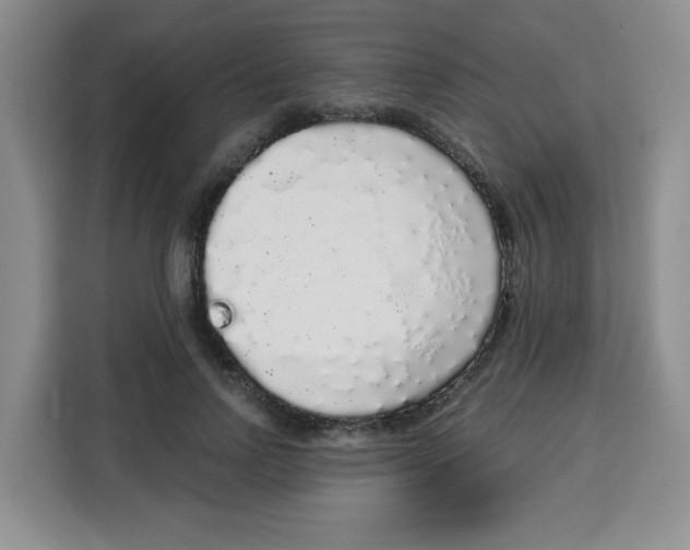 X0000115160742200911241548