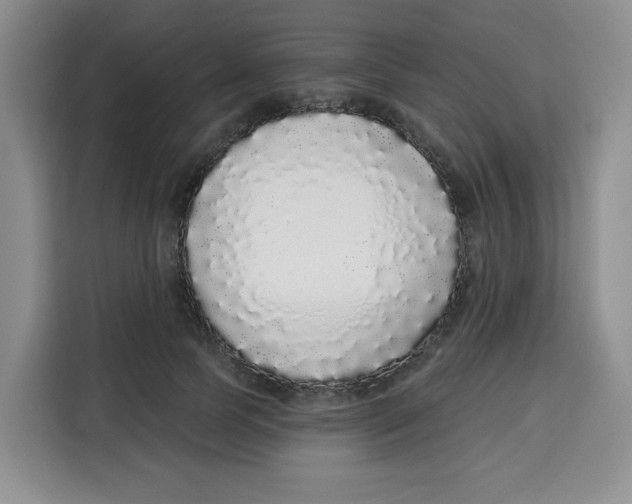 X0000115160745200911241548