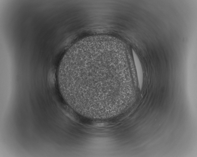 X0000115160746200911241548