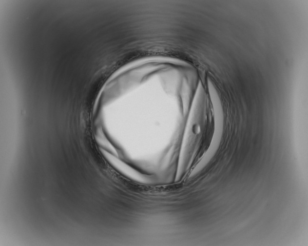 X0000115160747200911241548