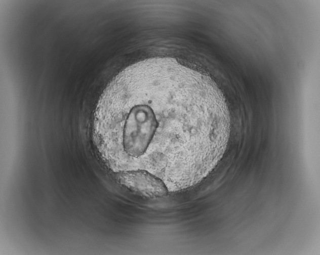 X0000115160749200911241548