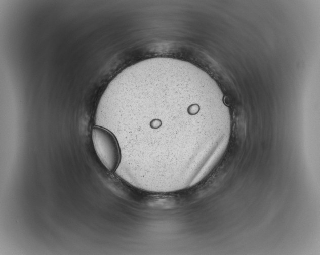 X0000115160750200911241549