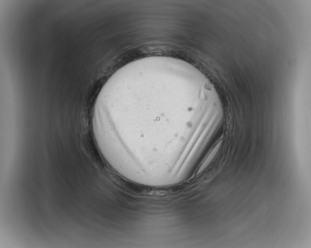 X0000115160751200911241549