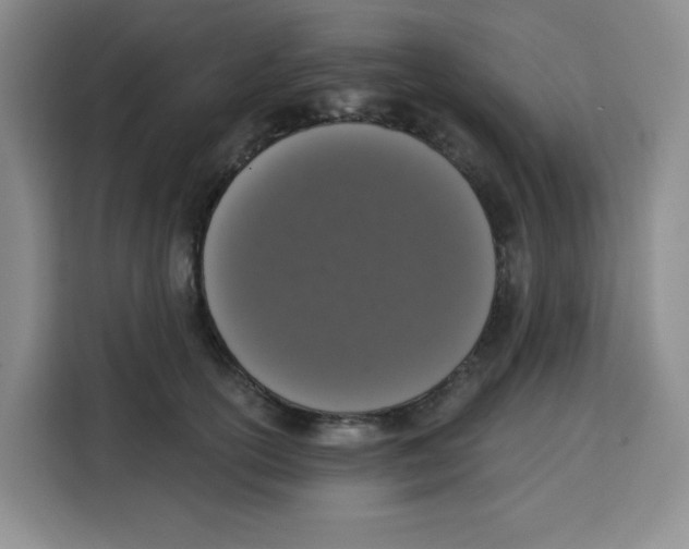 X0000115160754200911241549