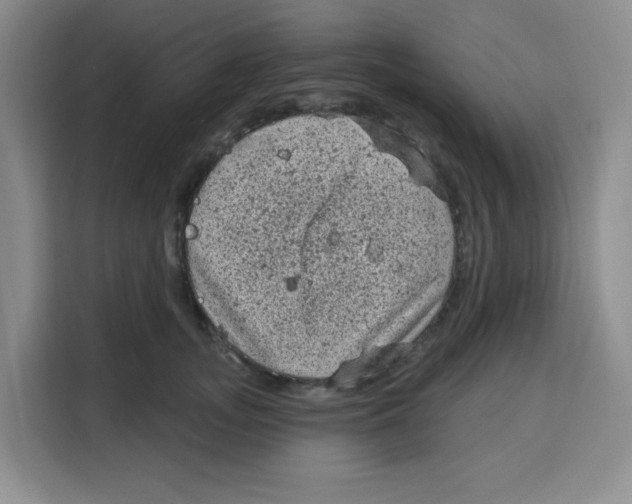 X0000115160755200911241549