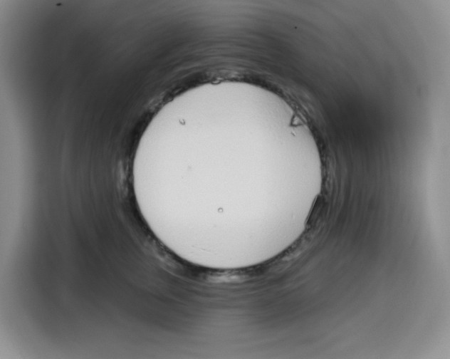 X0000115160759200911241549