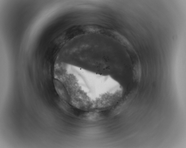 X0000115160762200911241549