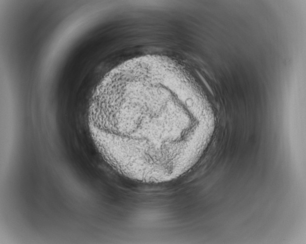 X0000115160763200911241549