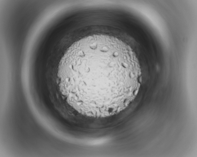 X0000115160765200911241549