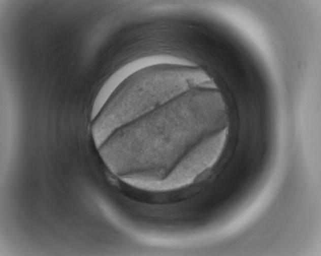 X0000115160766200911241549