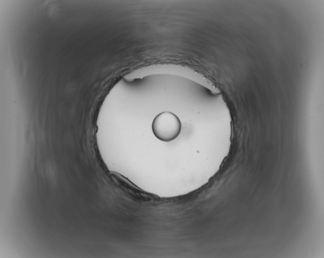 X0000115160769200911241548