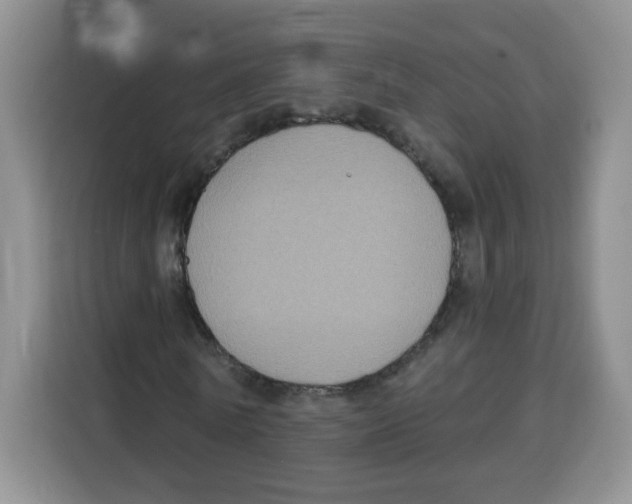 X0000115160770200911241548