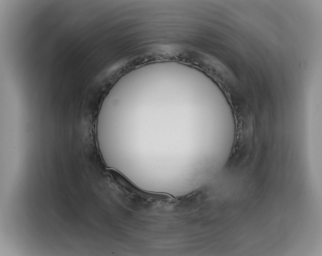 X0000115160773200911241548