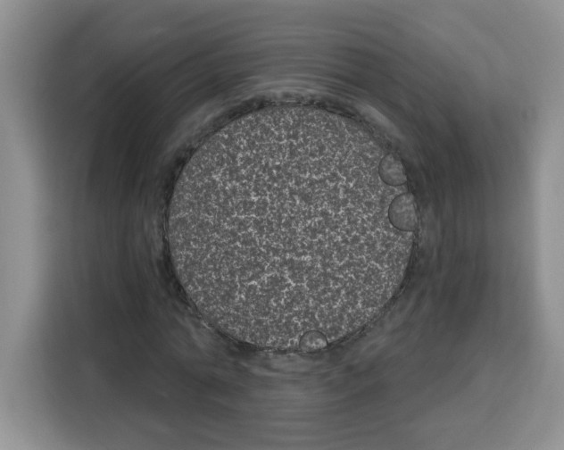 X0000115160774200911241548