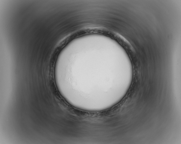 X0000115160775200911241548