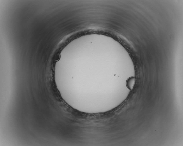 X0000115160776200911241548