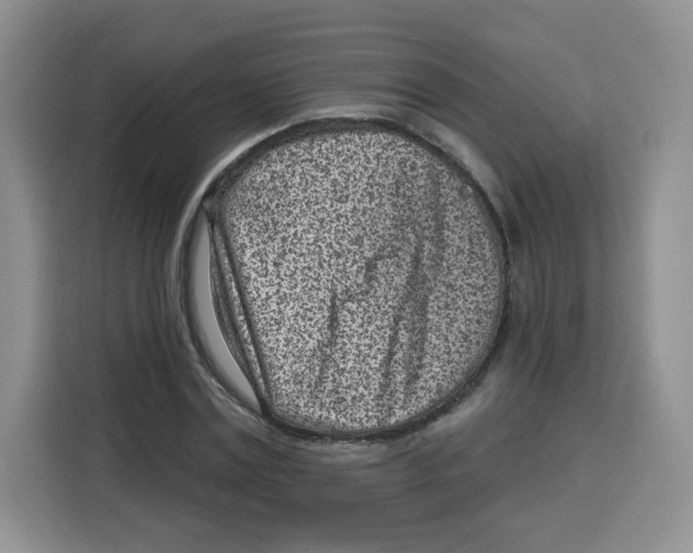 X0000115160779200911241548