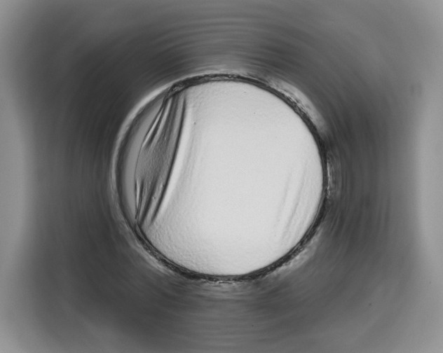 X0000115160780200911241548