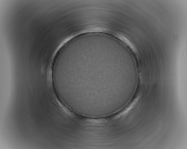 X0000115160781200911241548