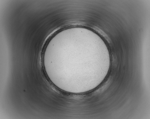 X0000115160782200911241548