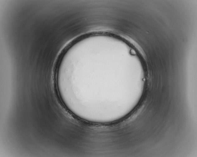 X0000115160783200911241548