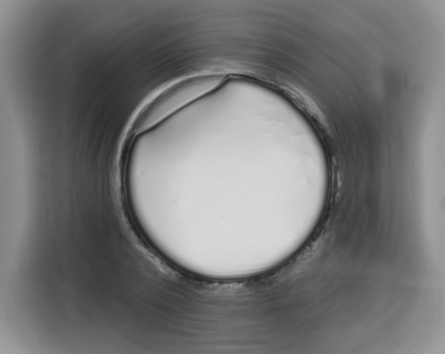 X0000115160784200911241548