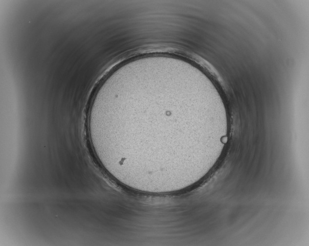 X0000115160786200911241548