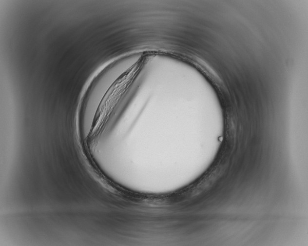 X0000115160788200911241548