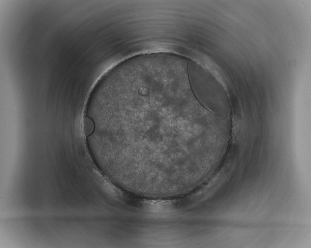 X0000115160789200911241548