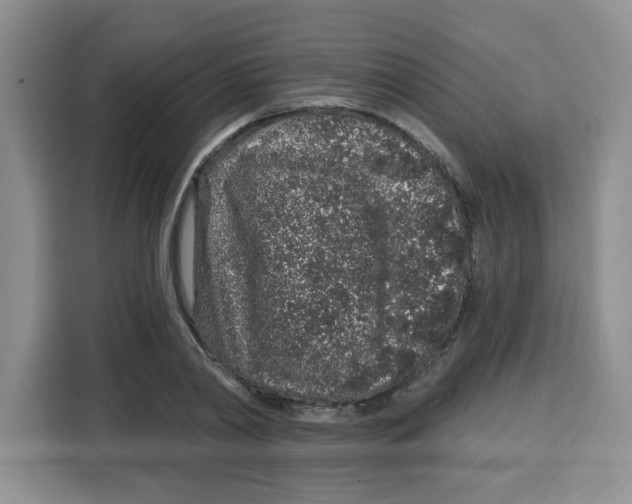 X0000115160790200911241548