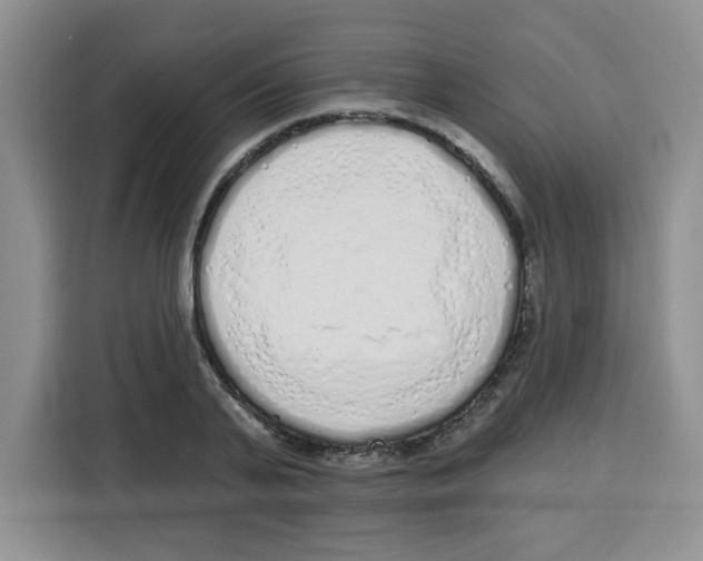 X0000115160791200911241548