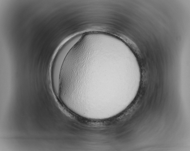 X0000115160792200911241548