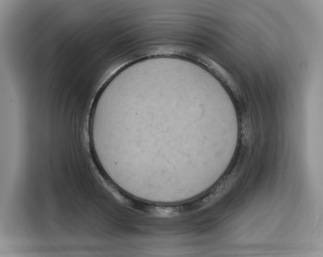 X0000115160794200911241548