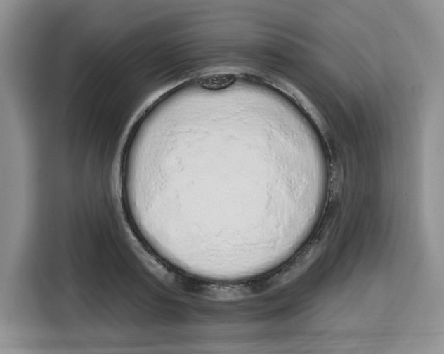 X0000115160795200911241548