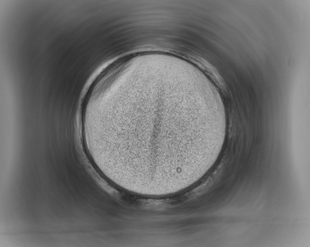 X0000115160796200911241548