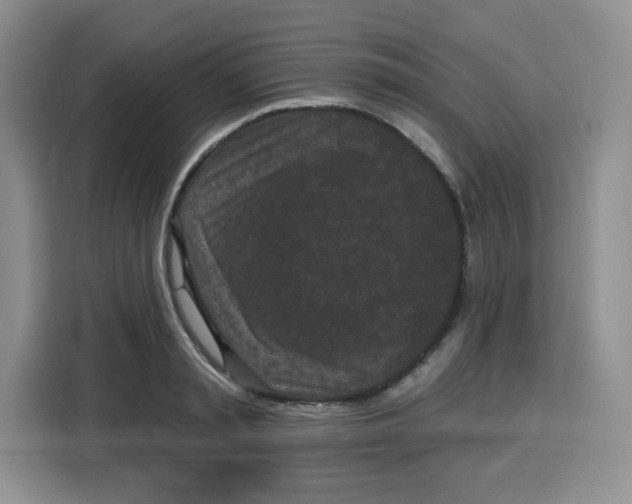 X0000115160797200911241548