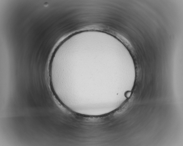 X0000115160800200911241548