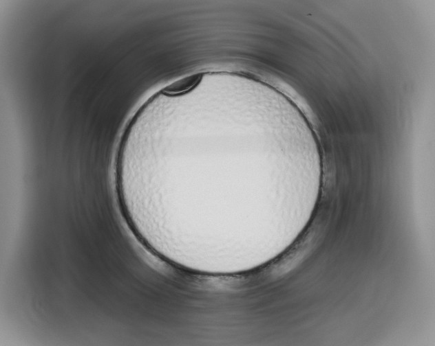 X0000115160803200911241548