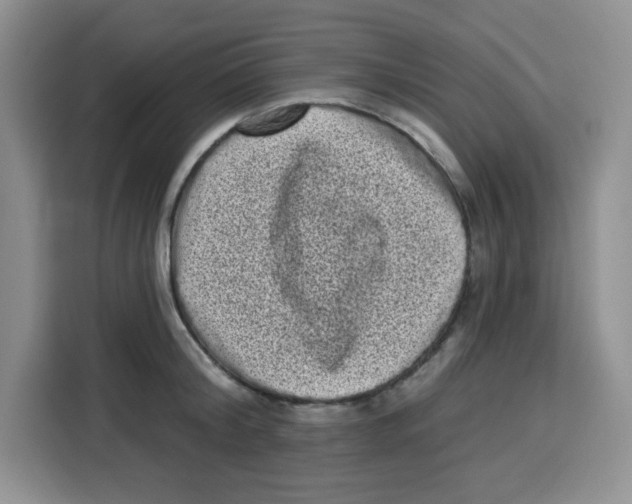 X0000115160804200911241548