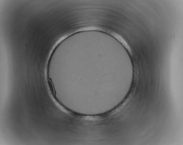 X0000115160805200911241548