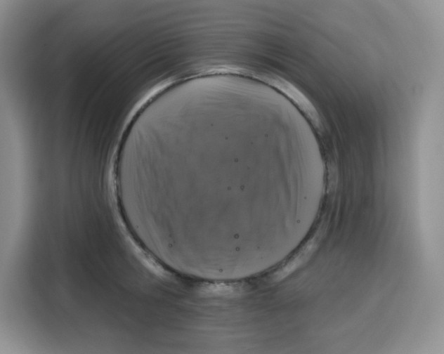 X0000115160806200911241548