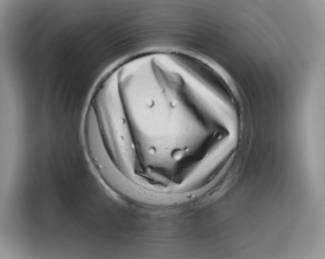 X0000115160807200911241548