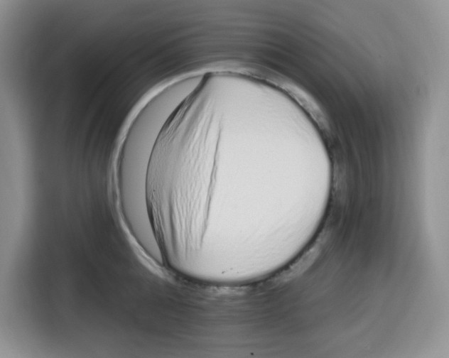 X0000115160808200911241548