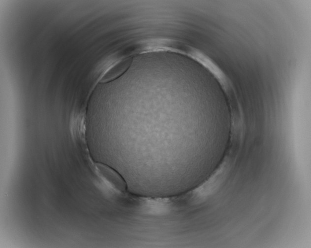 X0000115160809200911241548