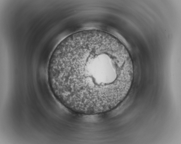 X0000115160810200911241548